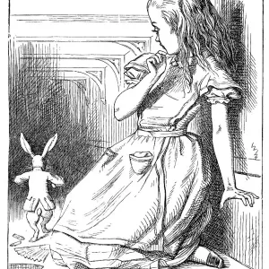 Alice in Wonderland Alice in Wonderland