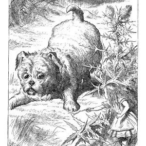 Alice in Wonderland Alice in Wonderland