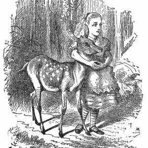 Alice in the Wood Where Things Have No Names in Through the Looking-Glass Alice in the Wood Where Things Have No Names in Through the Looking-Glass