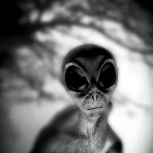 Alien Alien