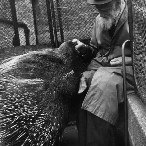Print of an Old Man with a Porcupine, 1944 Print of an Old Man with a Porcupine, 1944