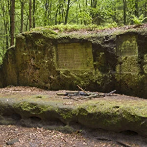 Altar stone at the Stimmersdorfer Weg trail, Saxon Switzerland, Elbsandsteingebirge Elbe Sandstone Mountains, Saxony, Germany, Europe