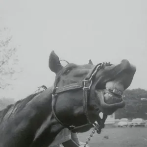 Images Dated 1978 May: 30 May 1978