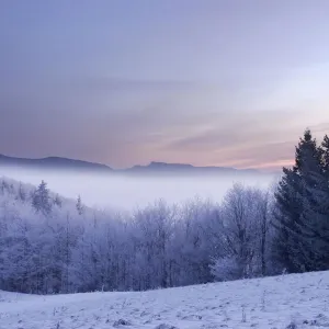 ambient, area, atmospheric, aurora, break, countryside, dawning, exterior, exteriors ambient, area, atmospheric, aurora, break, countryside, dawning, exterior, exteriors