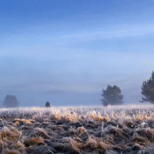 Images Dated 2005 November: 12 Nov 2005