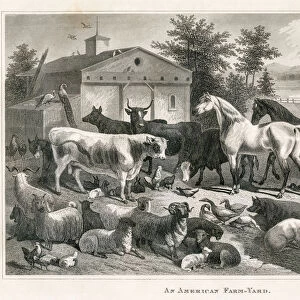 American farm yard engraving 1873