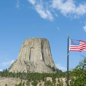 American national flag, monolith, phonolite volcanic rock, basalt, light forest of Ponderosa Pines -Pinus ponderosa-, Devils Tower National Monument, Wyoming, USA, United States of America, North America American national flag, monolith, phonolite volcanic rock, basalt, light forest of Ponderosa Pines -Pinus ponderosa-, Devils Tower National Monument, Wyoming, USA, United States of America, North America