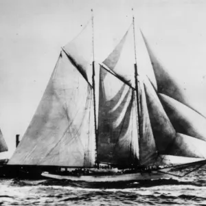 Print of American Winner - The Yacht America Print of American Winner - The Yacht America