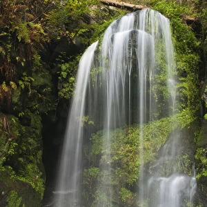 Amselfall waterfall, Saxon Switzerland, Saxony, Germany, Europe