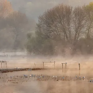 Amwell Nature Reserve Early Morning
