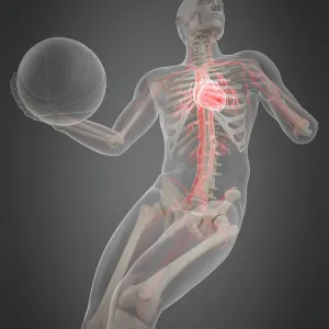 Anatomy of a basketball player, illustration Anatomy of a basketball player, illustration