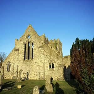Ancient Abbey, Gowran, St. Marys Collegiate Church, 1260, Ireland