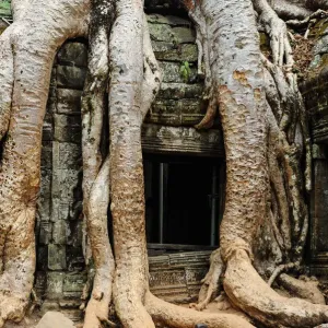 Ancient Civilisation, Colour Image, Siemreap Temple Complex, Stone - Material, Traditionally Ancient Civilisation, Colour Image, Siemreap Temple Complex, Stone - Material, Traditionally