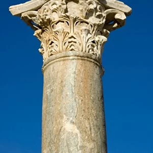 Ancient column with Corinthian capital, Leptis Magna, Libya
