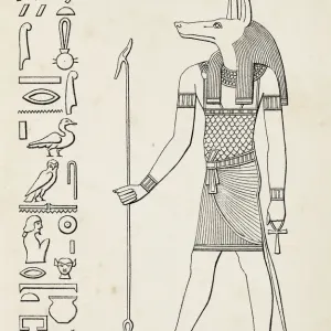Ancient Egyptian Hieroglyph Print of Anubis Ancient Egyptian Hieroglyph Print of Anubis