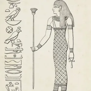 Ancient Egyptian Hieroglyph Print of Serket Goddess Ancient Egyptian Hieroglyph Print of Serket Goddess