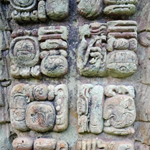 Ancient Mayan Sculpted Stone Glyphs, Copan