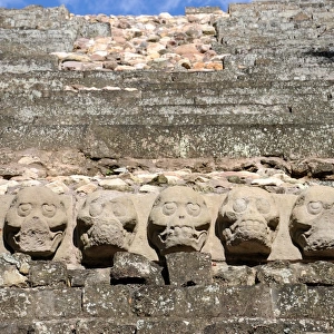 Ancient Mayan Skull Carvings on Copan Pyramid