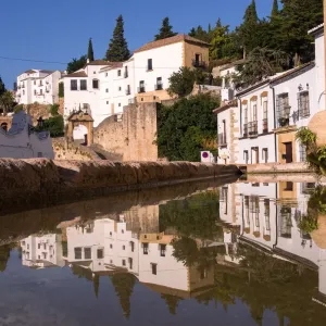 Andalusian dream Andalusian dream