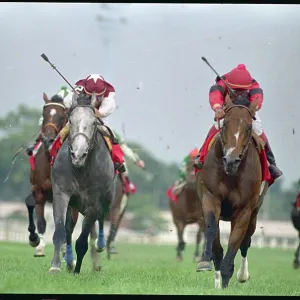 Images Dated 1987 September: 6 Sep 1987