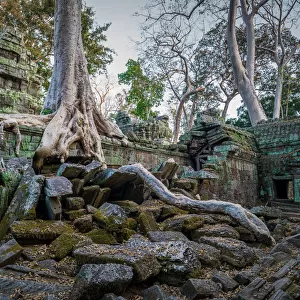 Angkor Thom Temple Cambodia