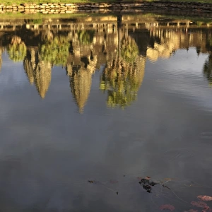 Angkor Wat reflected in the water