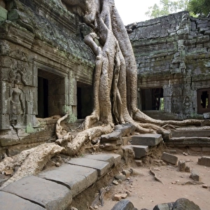Angkor wat - Ta Thom - Cambodia
