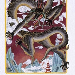 Angry Dragon Illustration