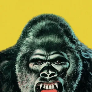 Angry Gorilla Illustration