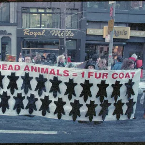 Images Dated 1989 November: 24 Nov 1989