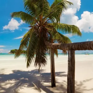 Anse Volbert beach Anse Volbert beach