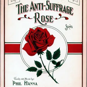 Anti-Suffrage Rose Anti-Suffrage Rose