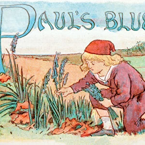 Antique children book illustrations: Harvesting bluebells