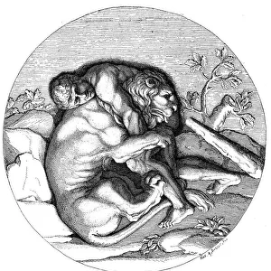 Antique illustration of Heracles fighting with the Nemean lion