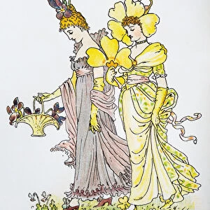 Antique illustration of humanized flowers and plants: Violet and Primrose