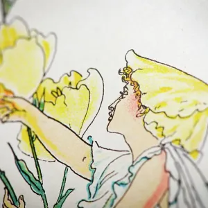 Antique illustration of humanized flowers and plants: Evening primrose