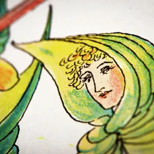 Antique illustration of humanized flowers and plants: Lady of the wood Antique illustration of humanized flowers and plants: Lady of the wood