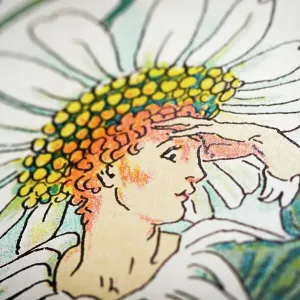 Antique illustration of humanized flowers and plants: Oxeye daisy