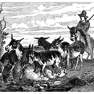 Antique illustration of shepherd with herd of donkeys