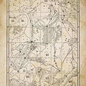 Antique illustration on yellow aged paper: zodiac astrology constellations (series 10) Antique illustration on yellow aged paper: zodiac astrology constellations (series 10)