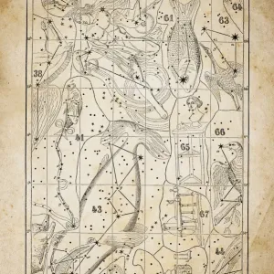 Antique illustration on yellow aged paper: zodiac astrology constellations (series 4) Antique illustration on yellow aged paper: zodiac astrology constellations (series 4)