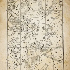 Antique illustration on yellow aged paper: zodiac astrology constellations (series 5) Antique illustration on yellow aged paper: zodiac astrology constellations (series 5)