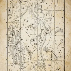 Antique Illustration: Zodiac Astrology Constellations (series of 12)