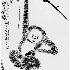 Antique Japanese Illustration: Monkey by Tachibana Morikuni Antique Japanese Illustration: Monkey by Tachibana Morikuni