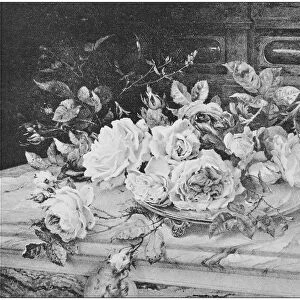Antique photo of paintings: Roses