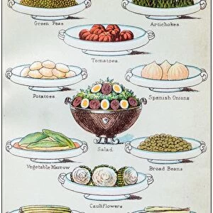 Antique recipes book engraving illustration: Vegetables