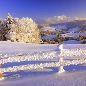 Appenzell winter landscape in evening light with view on the Santis, fence with hoarfrost in the foreground, Canton Appenzell, Switzerland