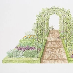 Apple and pear trees on arched trellis, flanked by vegetable, herb and flower beds
