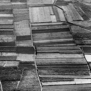 Arable Land Print circa 1950: Western Taiwan Plain