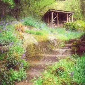 The Arbour The Arbour
